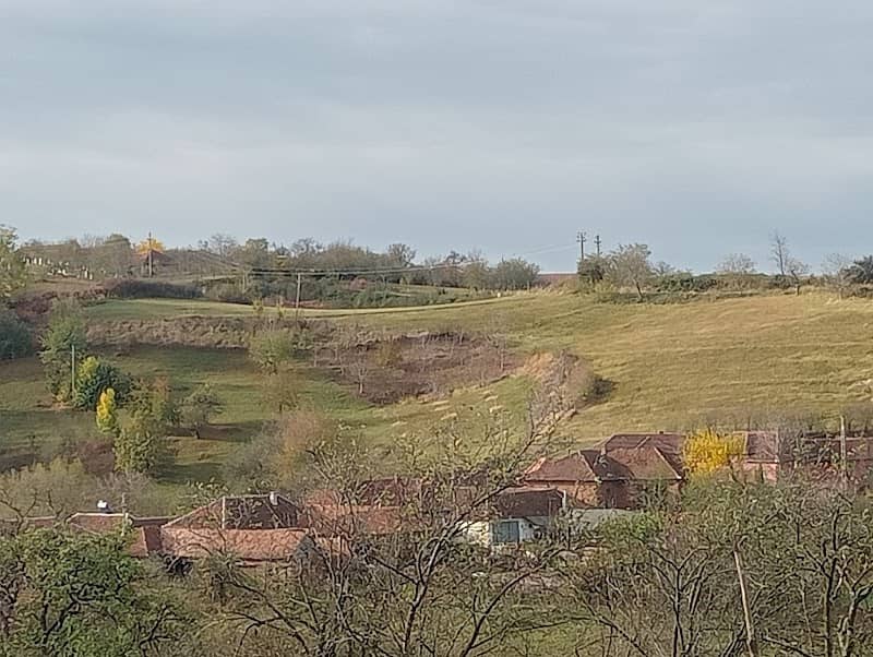 Dumbrăvița de Codru - Image 2