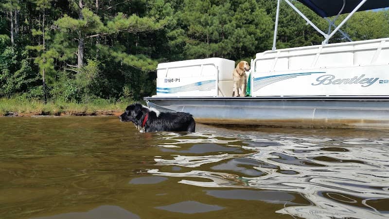 Lake Spivey - Image 2