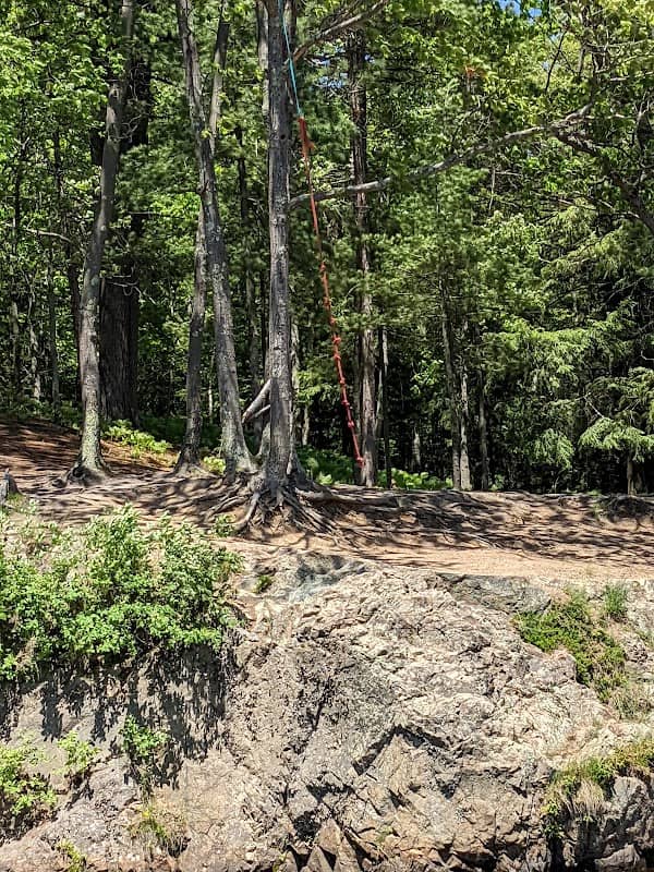 Rope Swing - Image 2