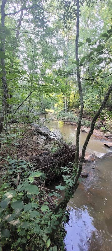 Peters Creek Trail - Image 2