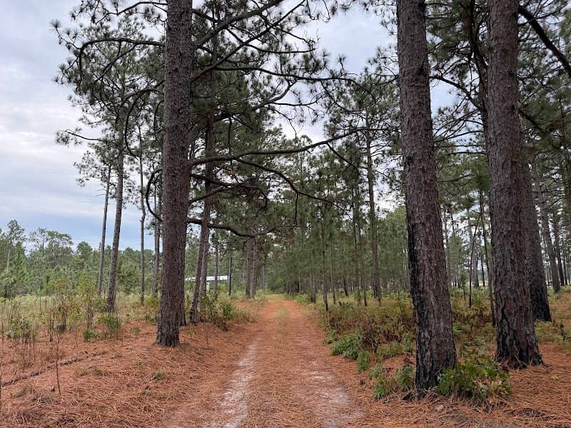 Calloway Forest Preserve - Image 2