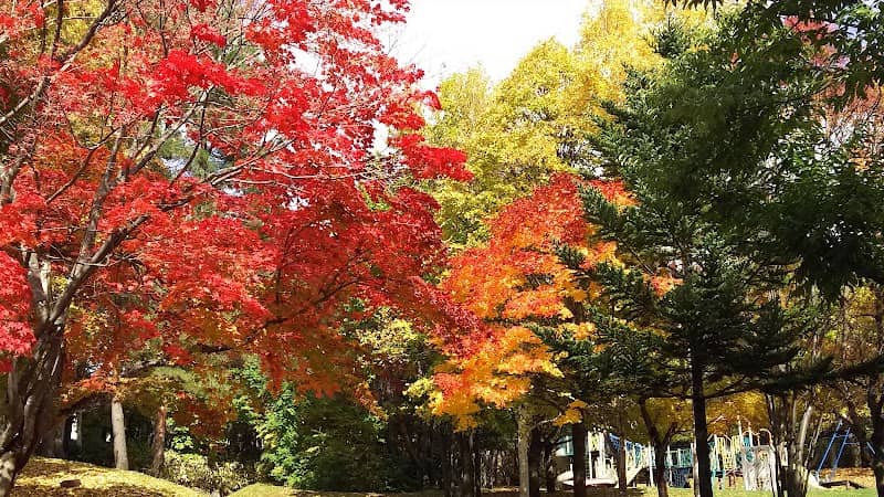 Kitanosawa Park - Image 2