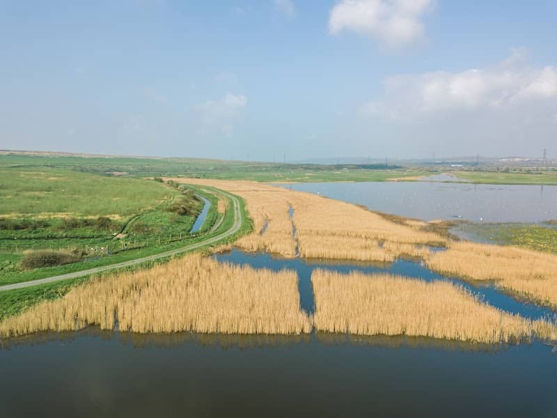 RSPB Bowers Marsh - Image 2