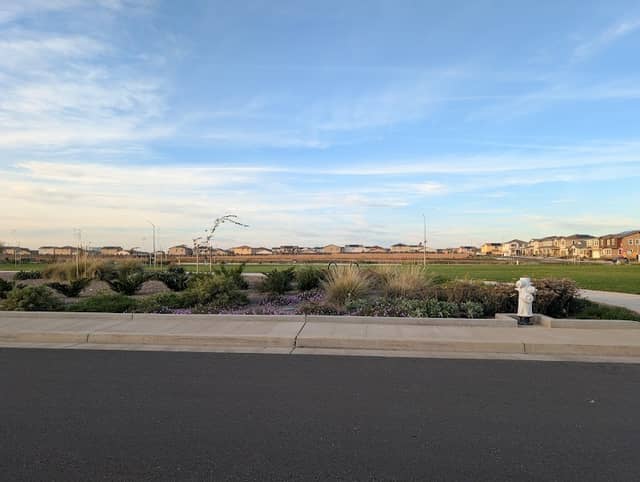 Rockrose Park - Image 2