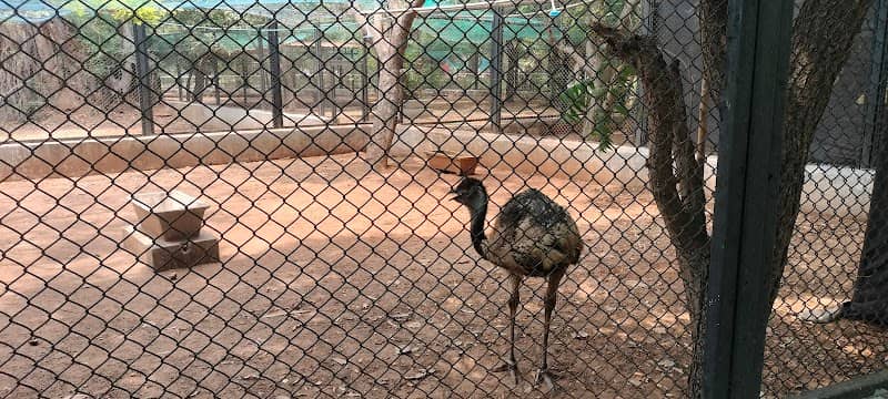 GUINDY PARK - Image 2