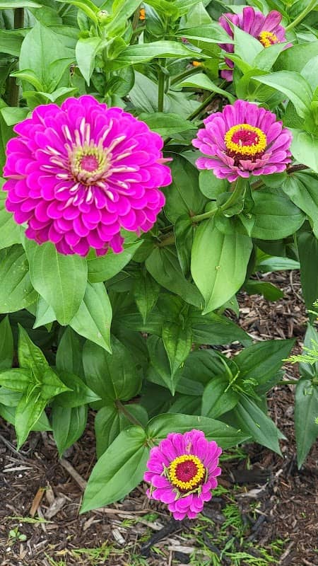 Gardens of Madison Indiana - Image 1