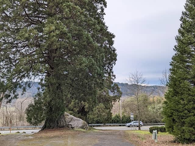 Big Rock Park - Image 1
