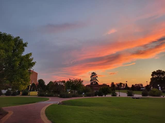 Campus Greens - Image 2