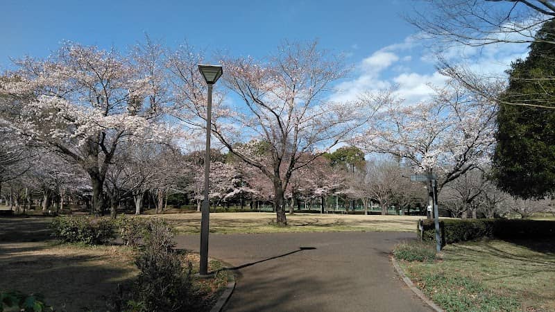 Tomisato Central Park - Image 1