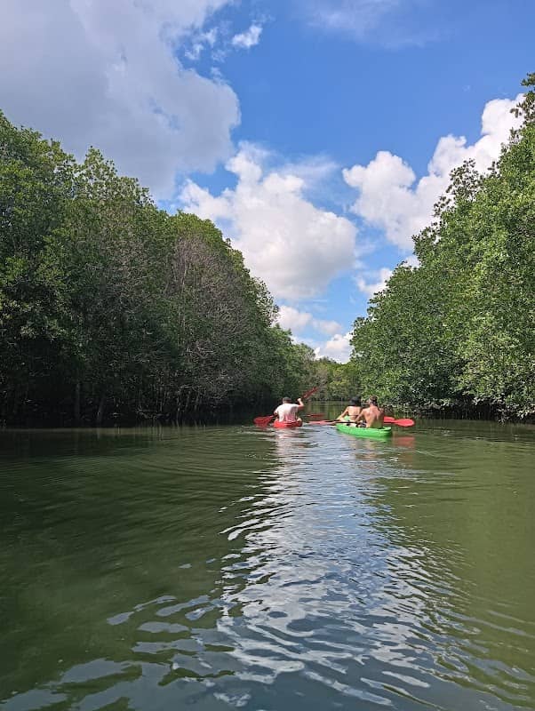 Lanta Eco Tour kayak for rent - Image 1