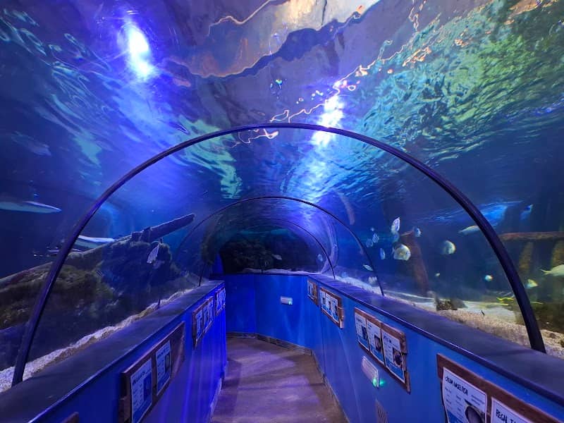 Hastings Aquarium - Image 2