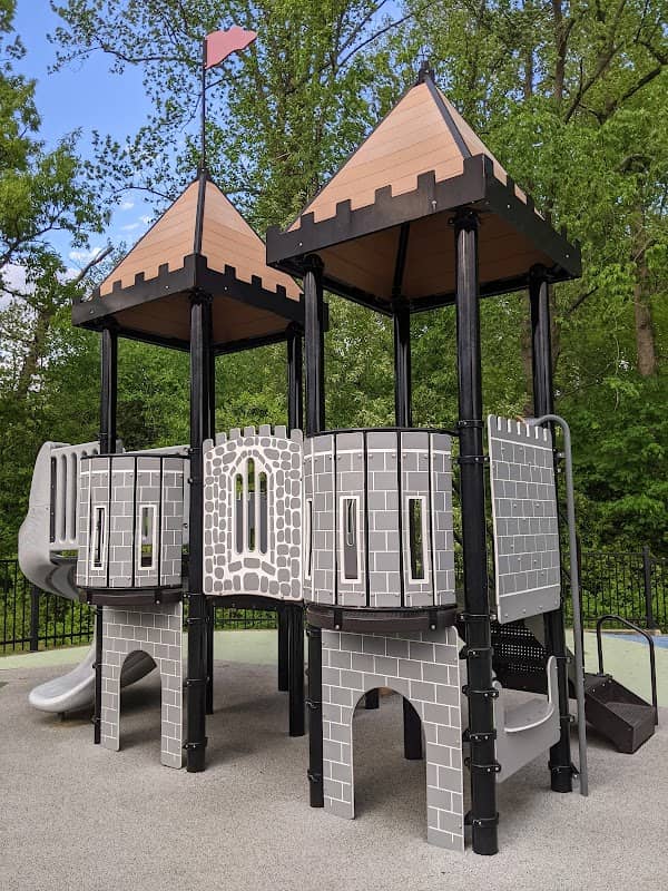 Medieval Dragon Playground - Image 1