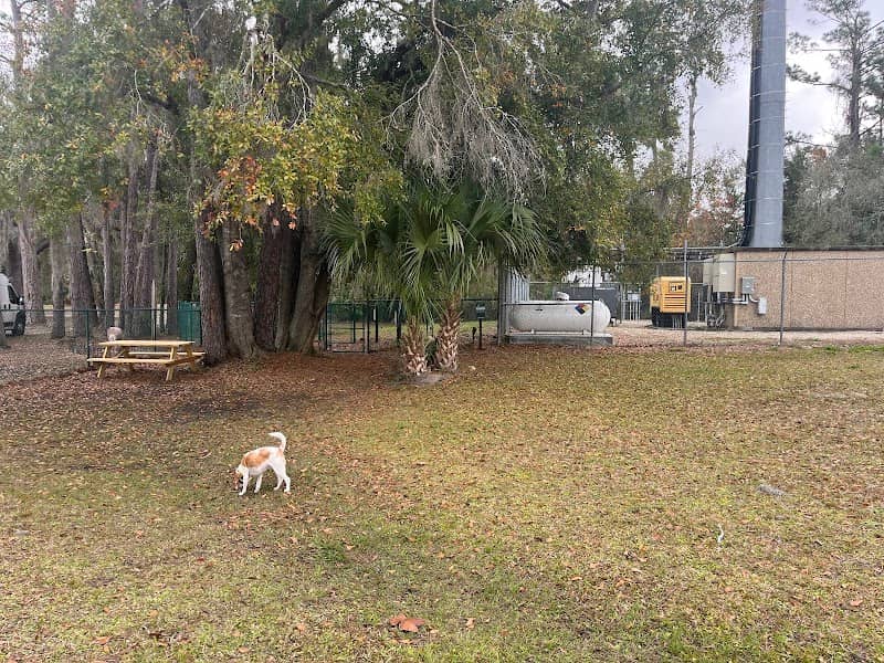 Angel's Dog Park - Image 1