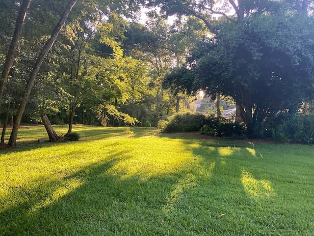 Tucker Nature Preserve - Image 2