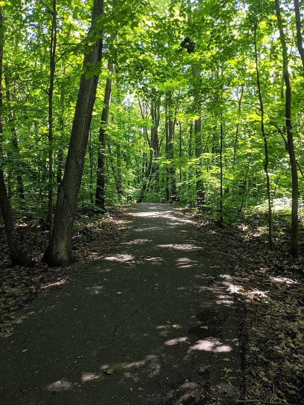 Maple Creek Park - Image 2