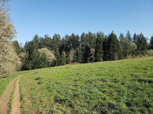 Woodland Meadow Park - Image 2