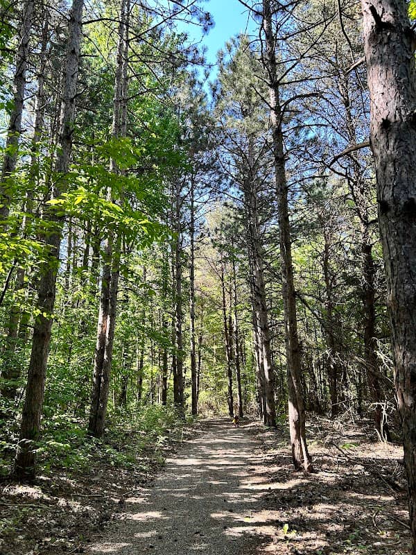 Cottonwood Park - Image 2