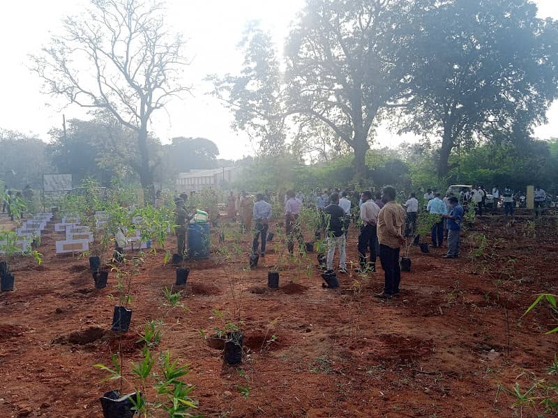 Elephant Park - Image 1