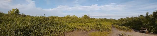 Yellow Trail - Image 1