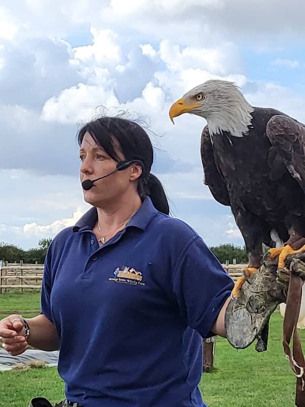 Herrings Green Activity Farm & Bird of Prey Centre - Image 1