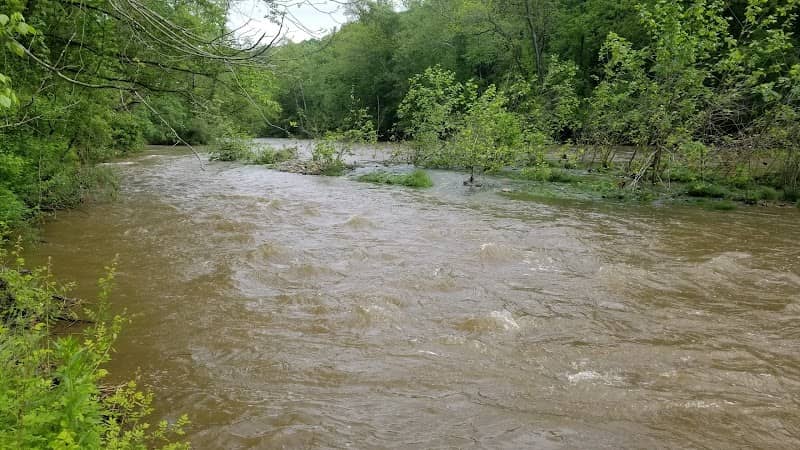 Fishing 01 - Image 1