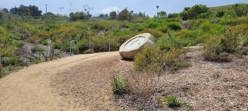 Citizen Seeds Site 4 - Image 2
