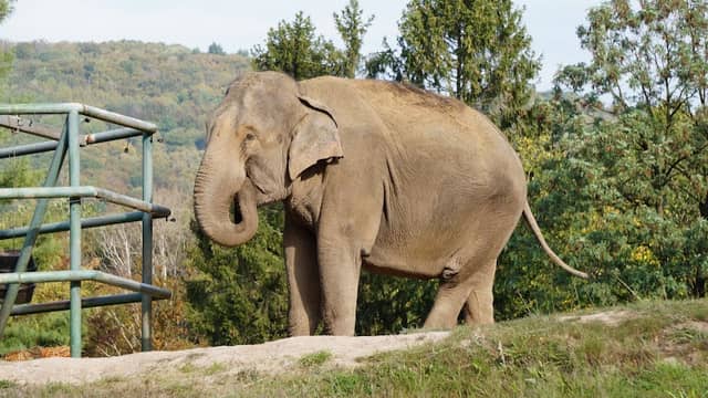 Neunkircher Zoologischer Garten GmbH - Image 1
