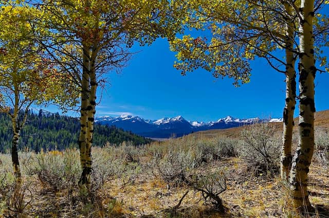Champion Creek Trailhead - Image 1