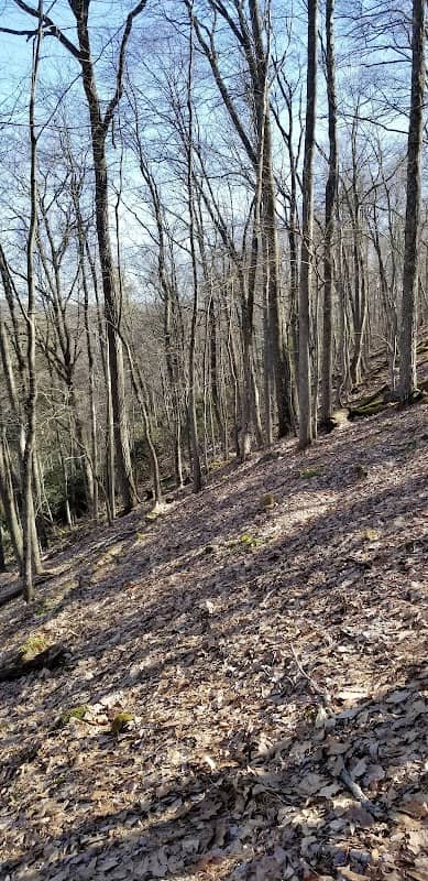 Fields ridge run vista - Image 2