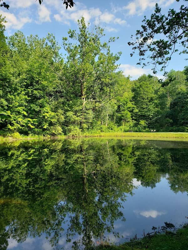 Holmesbrook Park - Image 1