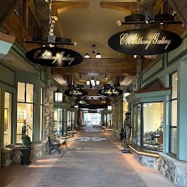 C Anthony Gallery - Image 1