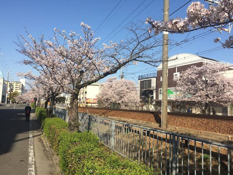 武庫之荘桜並木道 - Image 1