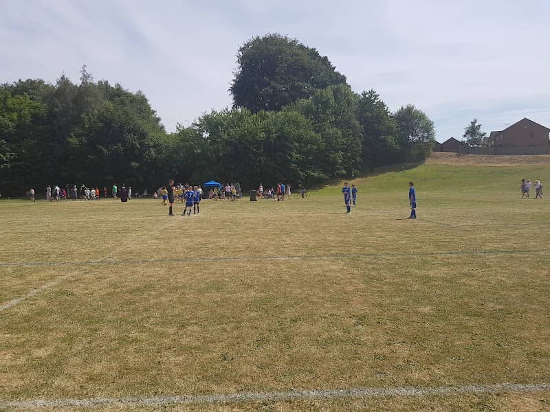 Hall Park - Image 1