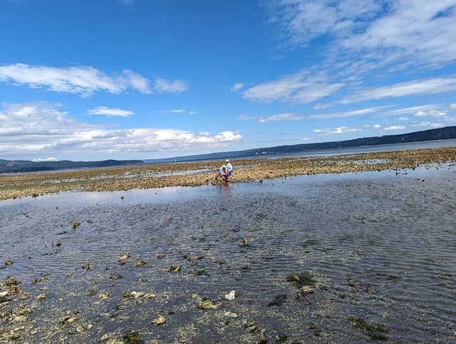 Dosewalip beach - Image 1