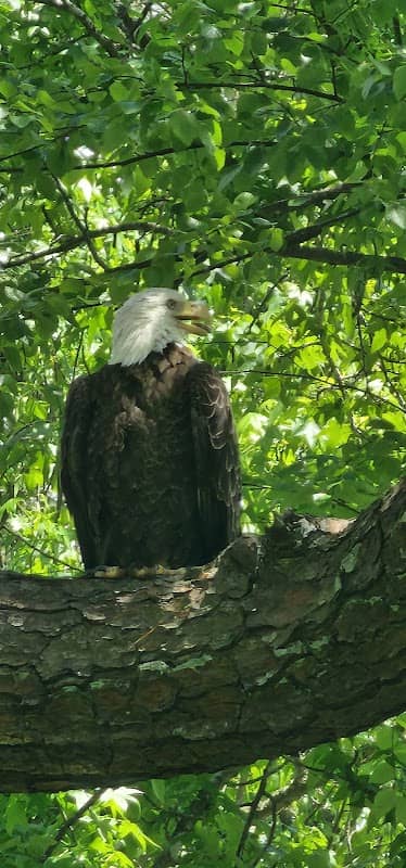 Virginia Capital Trail Parking - Image 2