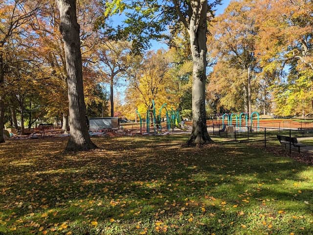 Central Park - Image 1