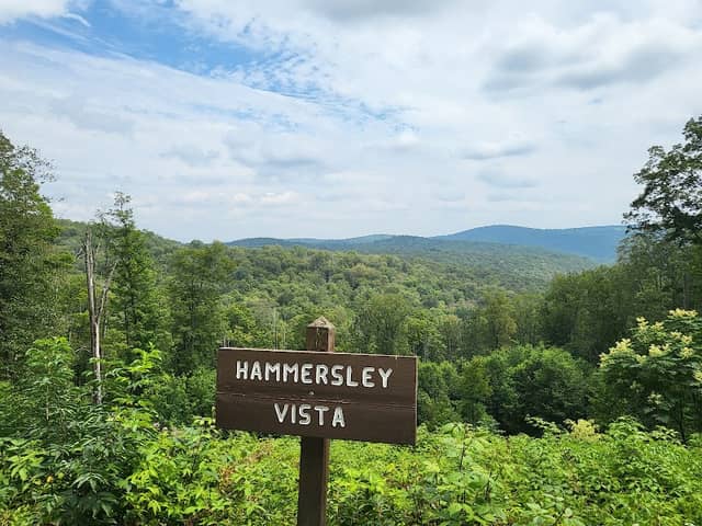 Hammersley Wild Area - Image 2