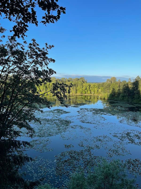 Dalton Lake Nature Preserve - Image 2