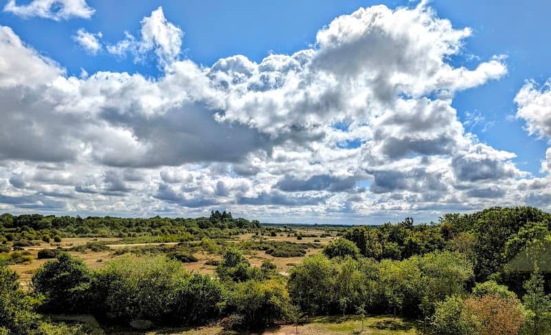 Greenham & Crookham Common Nature Reserve - Image 2