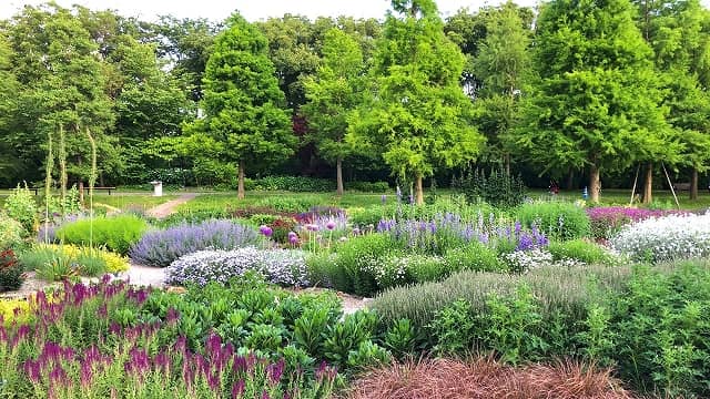 Pereniaru Garden - Image 1