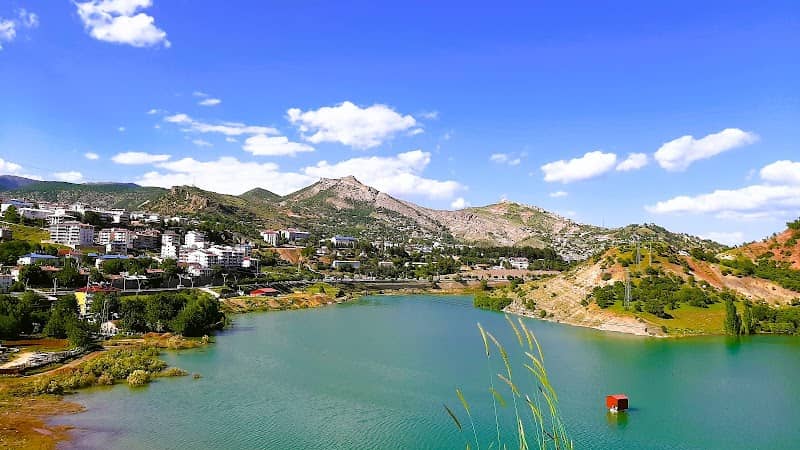 Tunceli Urban Forest - Image 1