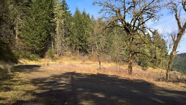 Ridge Trail - Image 2