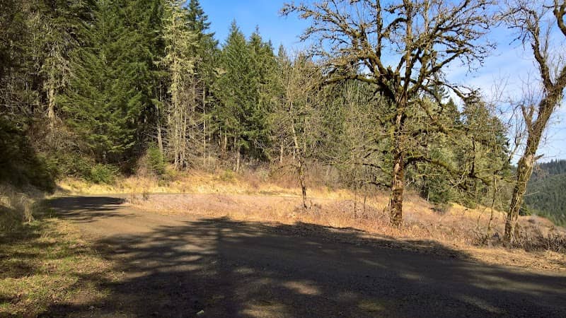 Ridge Trail - Image 2