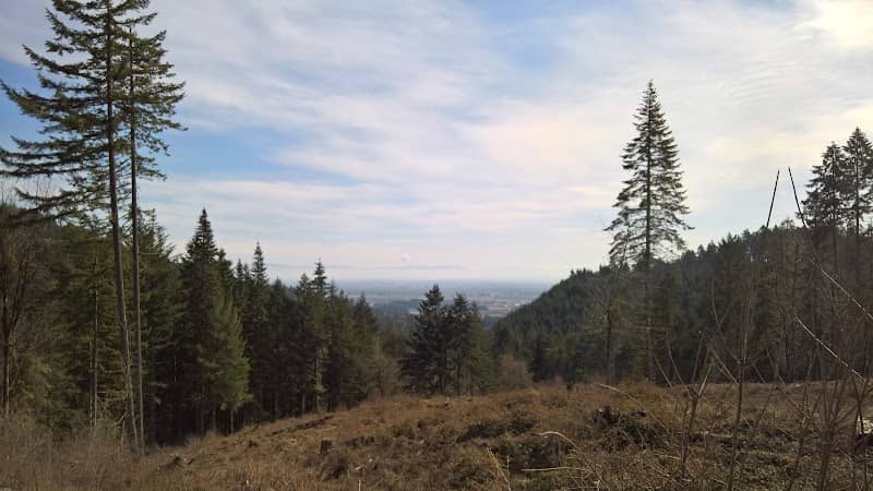 Ridge Trail - Image 1