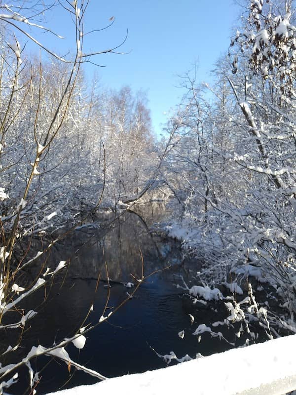 Pedersen Park - Image 2