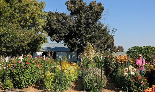 Canyon Springs Garden Outreach - Image 1
