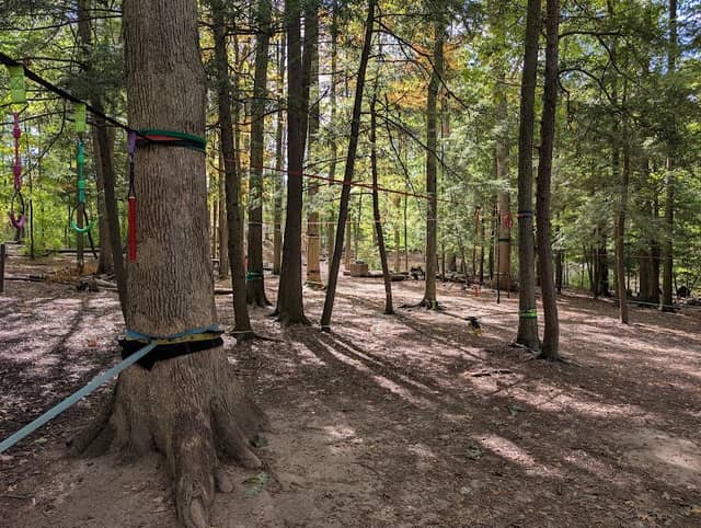 Lake Metroparks Adventure Play - Image 1