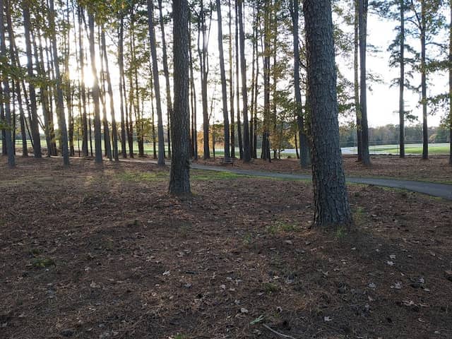 Mount Tirzah Ball Park - Image 2