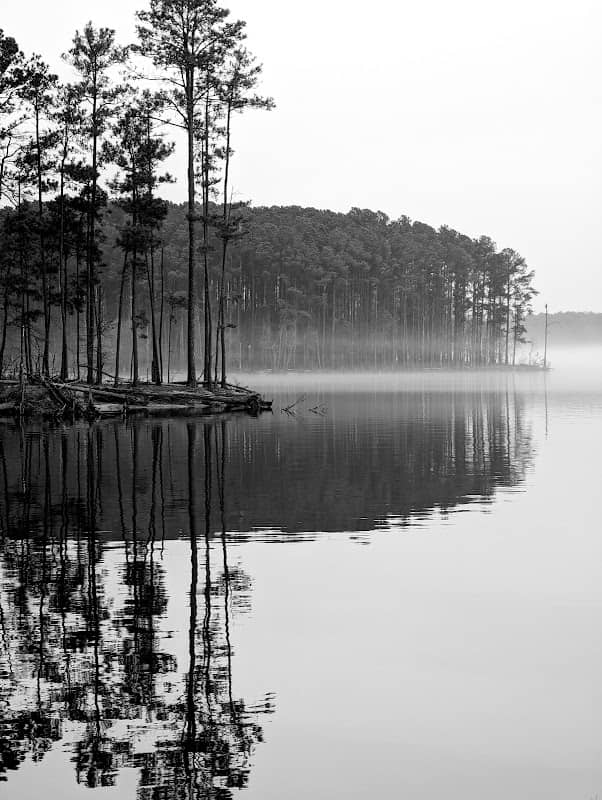 Vista Point Campground - Image 1
