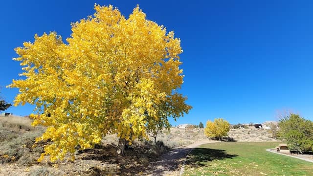 Los Milagros Park - Image 1